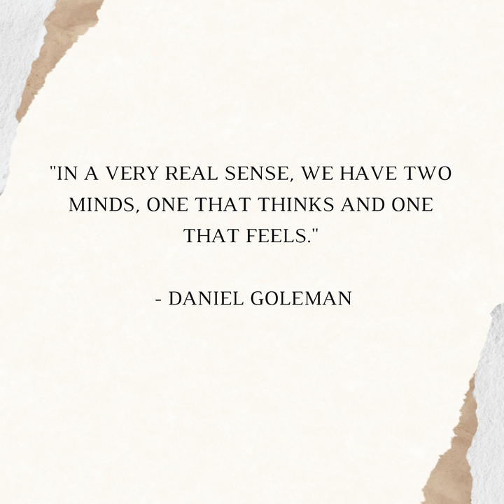 Emotional Intelligence by Daniel Goleman